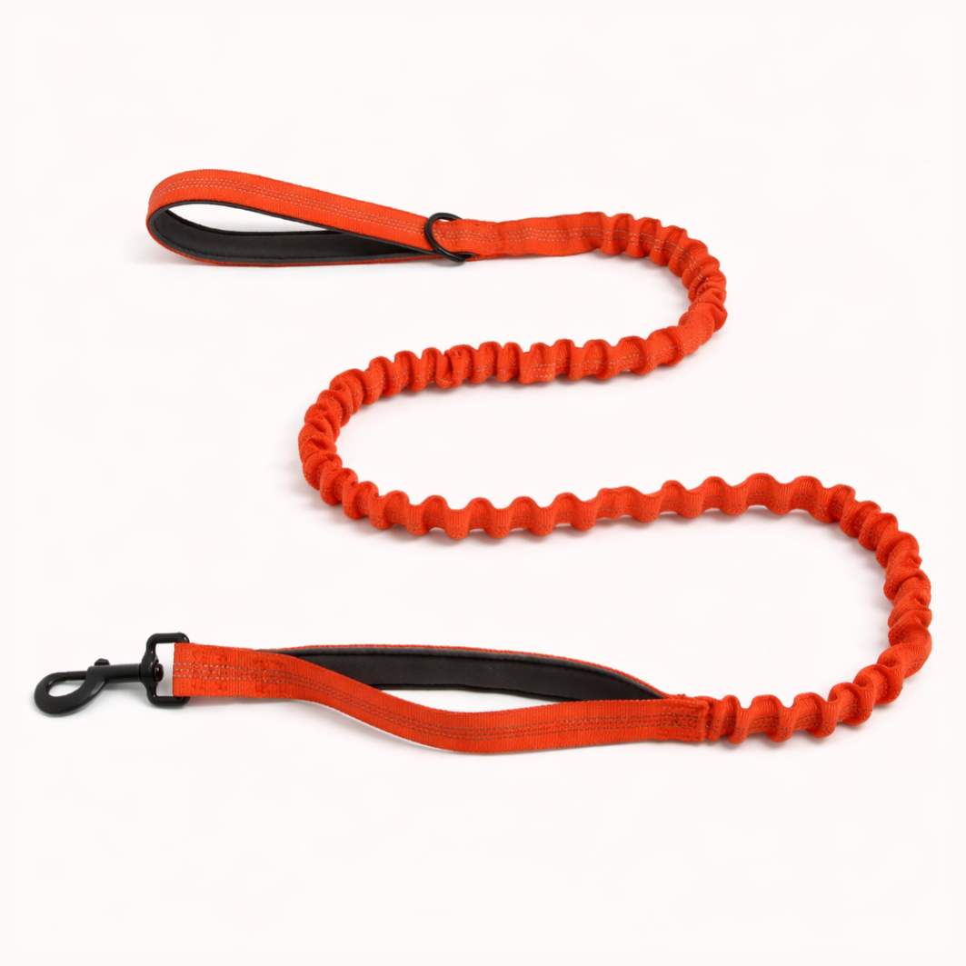 Laisse Bungee - BESTIE PETS