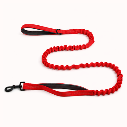 Laisse Bungee - BESTIE PETS