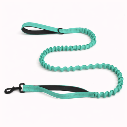 Laisse Bungee - BESTIE PETS