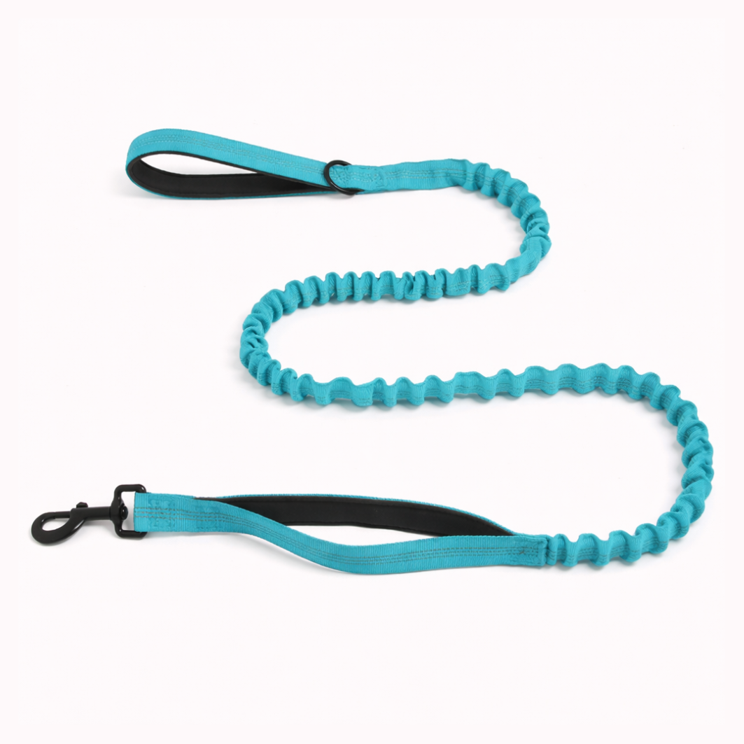 Laisse Bungee - BESTIE PETS