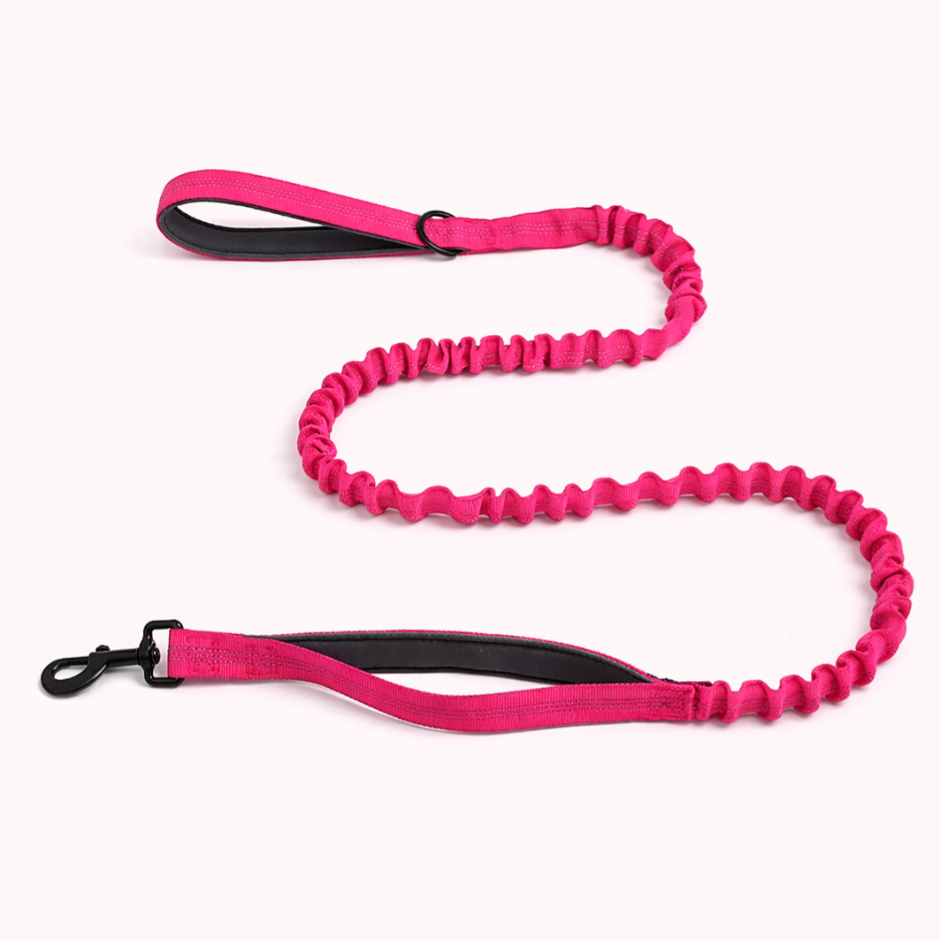 Laisse Bungee - BESTIE PETS