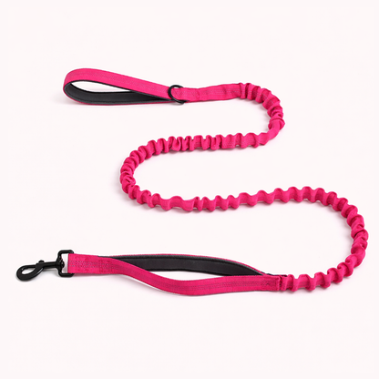 Laisse Bungee - BESTIE PETS