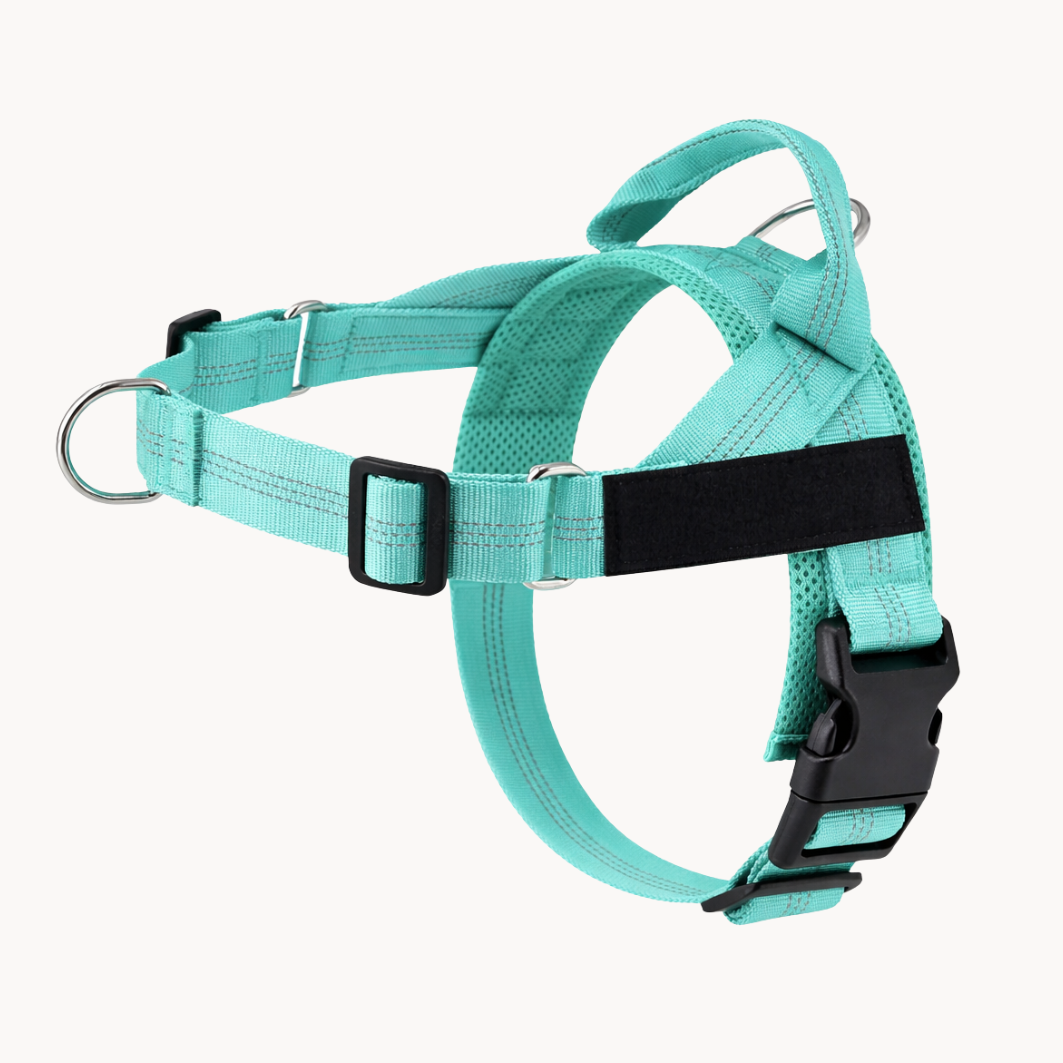 Harnais Anti-Traction - BESTIE PETS