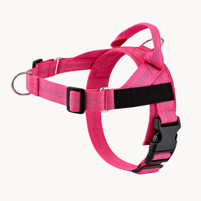 Harnais Anti-Traction - BESTIE PETS