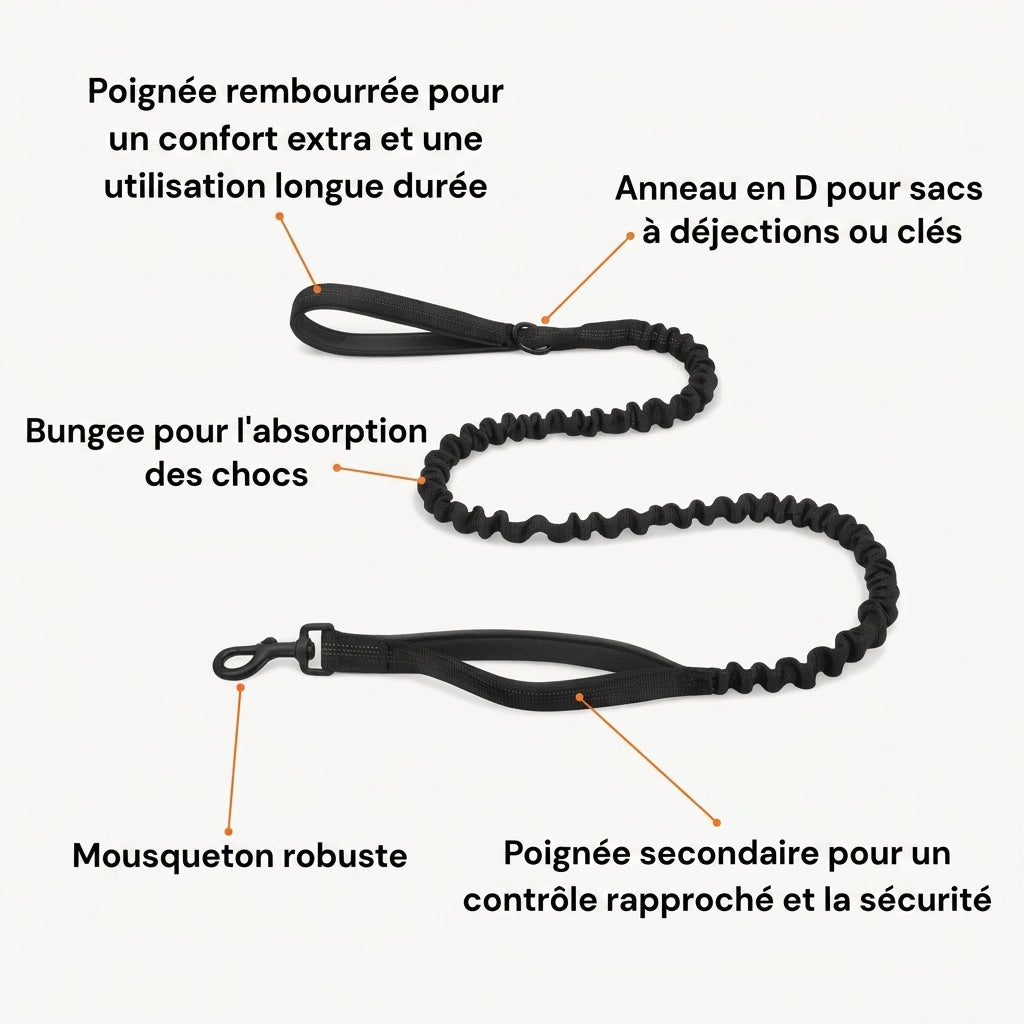 Laisse Bungee - BESTIE PETS