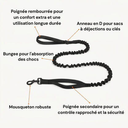 Laisse Bungee - BESTIE PETS