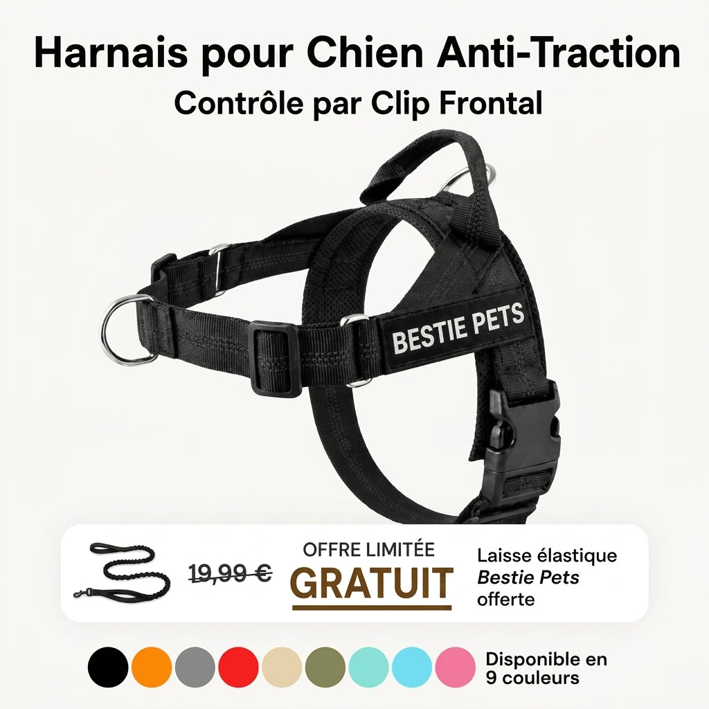 Harnais Anti-Traction - BESTIE PETS