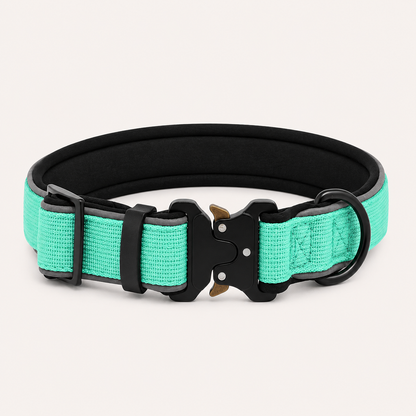 Collier Tactique - BESTIE PETS